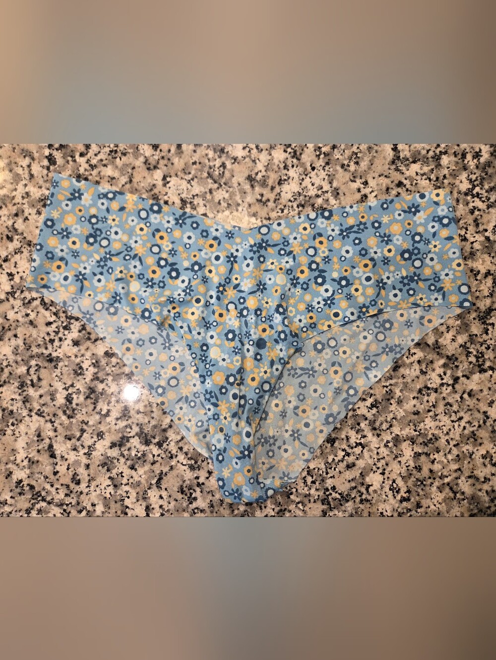 aerie Light Blue Floral Cheeky No Show Panty with Yellow Accents